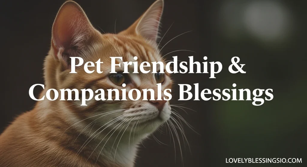 Friendship & Companionship Blessings
