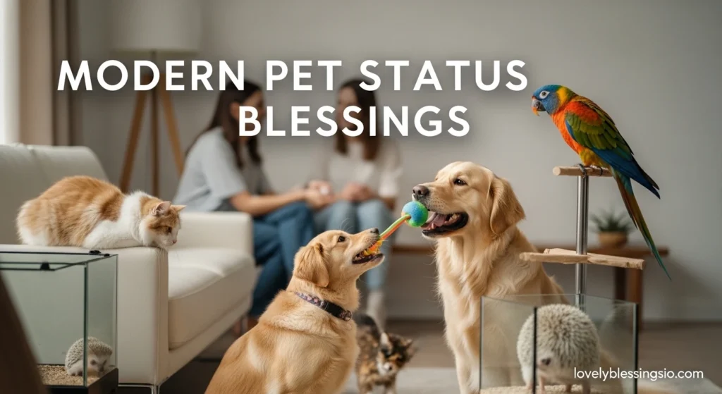 Modern Pet Status Blessings