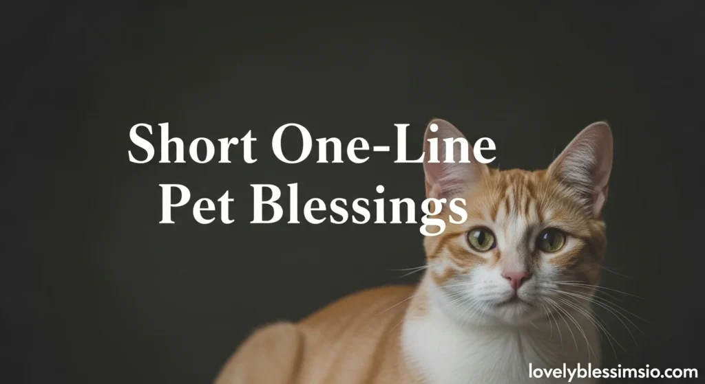 Short One-Line Pet Blessings