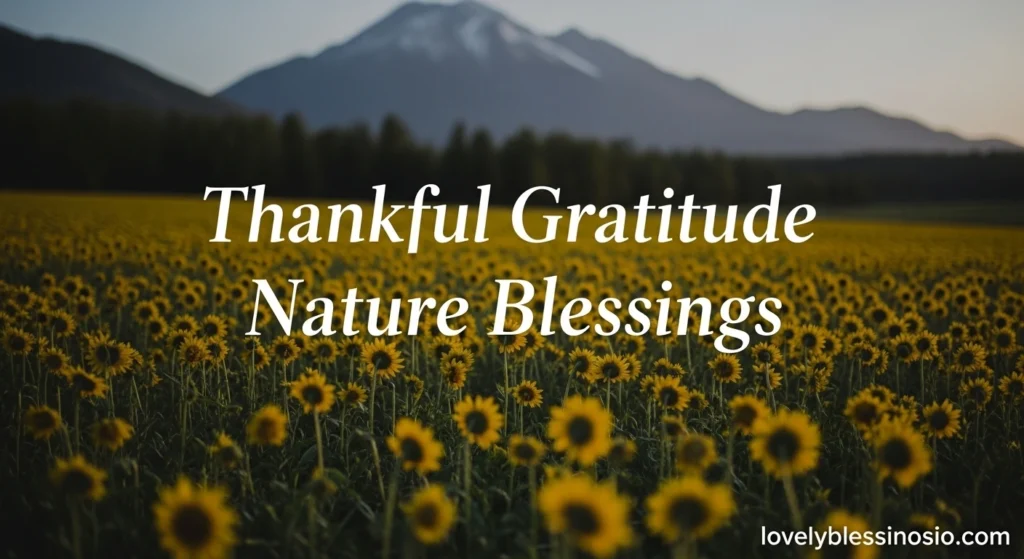 Thankful Gratitude Nature Blessings